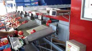 Groente paprika sorteermachine Aweta G 26 [upl. by Conall]