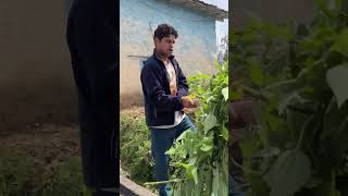 Pahadi ghar mai chalaya Safai Abhiyaan🧹 Sab ChakaChak minivlog pahadlifestyle youtubeshorts [upl. by Yonina]