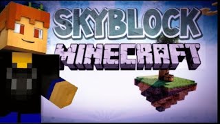 Skyblock in lifeboat SMP minecraft minecraftlifestealsmpinhindi [upl. by Gans378]