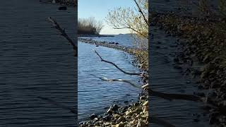 Part two  Buckeye Island off Put in Bay Ohio in Lake Erie island [upl. by Sidoney229]