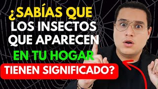 Sabías Que Los Insectos Que Aparecen En Tu Hogar Tienen Significado 🐞🐝🦋  Juank Cortavarria [upl. by Yona]