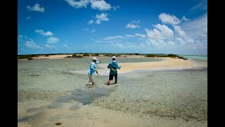 CAYO CRUZ CUBA  Everything you need to know [upl. by Lowrie]