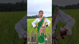 Lakhimai kardong new mising reel video 💚💚 [upl. by Conner428]