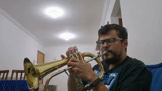 Em Fervente Oração Flugelhorn [upl. by Eelrahc]