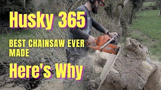 Husqvarna 365  The Best Chainsaw Ever Made  Heres Why [upl. by Beuthel]