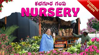 మరిన్ని కొత్త మొక్కలు మన nursary లో కి కలగూర గంప Nursery Coming Soon Secound Lot plantsgarden [upl. by Nakeber]