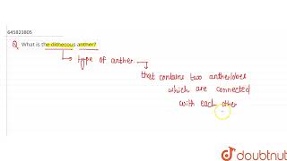 What is the dithecous anther  CLASS 12  SEXUAL REPRODUCTION IN FLOWERING PLANTS  BIOLOGY  D [upl. by Kovar417]