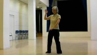 Shibashi Tai chi Qigong 18 movements [upl. by Assilanna]