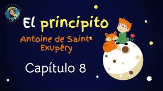 Audiolibro El principito Capitulo 8 Antoine de Saint Exupéry [upl. by Hampton]