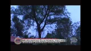 Mañanitas Guatemaltecas Maderas Chapinas [upl. by Endys]