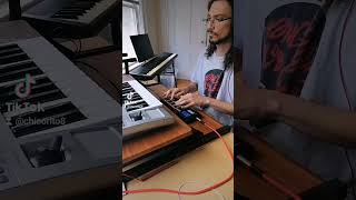 novation xstation and akai mpx8 dawless techno livejam [upl. by Cogswell]