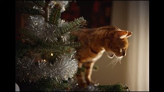 Vier honden en een kat vieren kerst met McDonalds [upl. by Anaed]