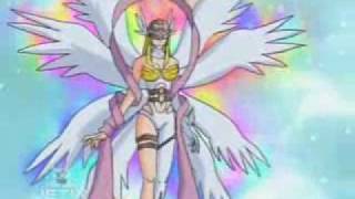 Kari makes Gatomon digivolve into Angewomon [upl. by Gone]