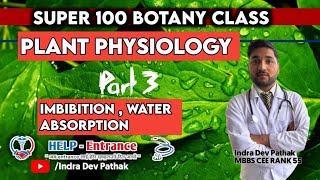 Plant Physiology part 3 DiffusionOsmosis  Water relation  plasmolysisImbibition  Absorption [upl. by Eirruc]