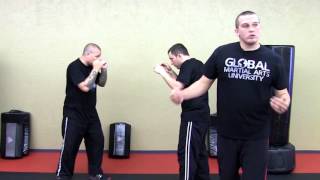 Beginner Krav Maga  Yellow BeltLevel 1  Class 3 [upl. by Anaujal503]