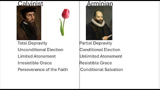 Calvinism vs Arminianism Explained [upl. by Terchie]