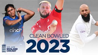 💥 Stumps Flattened  👀 Clean Bowled Wickets Summer 2023  📺 Feat Broad Bell Gaur amp More [upl. by Adnot747]