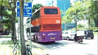 Singapore Buses including night shots [upl. by Ottie339]