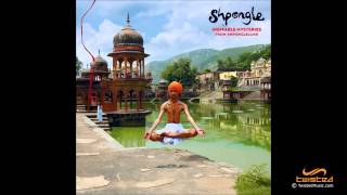 Shpongle  Ineffable Mysteries From Shpongleland FULL ALBUM [upl. by Ekard]