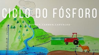 Ciclo do fósforo [upl. by Nirmak299]