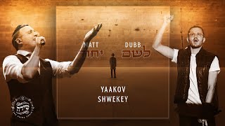 Matt Dubb amp Yaakov Shwekey  Lshem Yichud  מאט דאב amp יעקב שוואקי  לשם יחוד [upl. by Yroj]