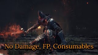 Dark Souls 3 Abyss Watchers No Damage FP Consumables [upl. by Cho]