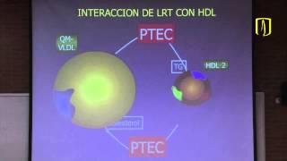 Metabolismo de lípidos  Bioquímica médica [upl. by Finnigan735]