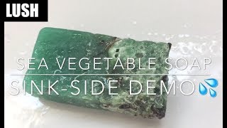 LUSH💦🌊Sea Vegetable Soap SinkSide Demo💧 [upl. by Gney656]