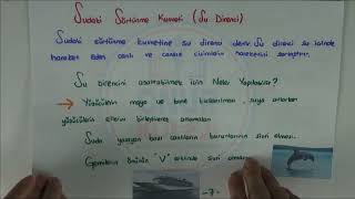 5 Sınıf Fen Bilimleri  Kuvvetin Ölçülmesi ve Sürtünme Kuvveti 3 [upl. by Airec]