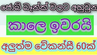 job vacancy 2024 job vacancies Job guide sri lanka job interview jobs at homegoverment jobs jobs [upl. by Ronoh]