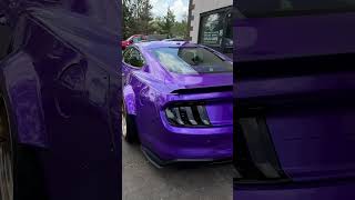 baggedmustang youtubeshorts automobile foryourpage mustang widebodykit detailing [upl. by Ahsets]