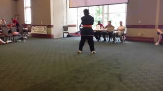 Shaolin Kung Fu Studios Myrtle Beach SC Training Video [upl. by Darreg]