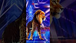 Miracle or magic 😱 Man in lion 🦁 America’s got talent agt talent americangottalent [upl. by Ulrich44]