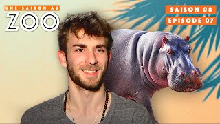 Romain passe son Habilitation pour les Animaux Dangereux   S08EP07  Émission  Une Saison Au Zoo [upl. by Cullen]