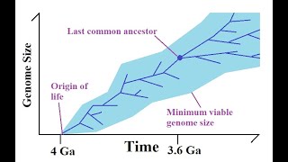 Debunking the quotMinimum Requirements for Something to Survivequot by Long Story Short [upl. by Novak]