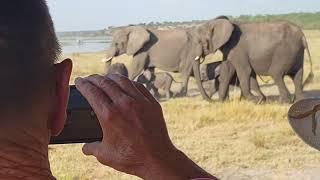 Chobe National Park Botswana [upl. by Esiralc490]