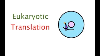 Eukaryotic translation 50 [upl. by Anivram]