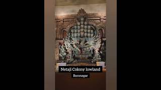 Netaji Colony lowland 2024 [upl. by Thorsten]