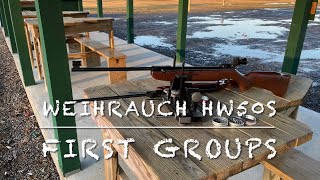 Weihrauch HW50S 177 break barrel pellet rifle first groups at 25 yards [upl. by Ingelbert914]