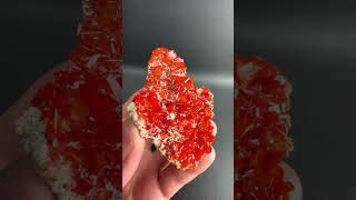 Wulfenite from Ojuela Mine Durango Mexico  Fine Art Minerals  Wulfenite [upl. by Nais]