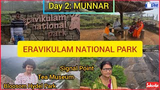 4K  Eravikulam National Park  Blossam Hydel Park  Best Places  Munnar  Day 2  Road Trip [upl. by Enitsed]