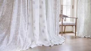 A Second Look At Stroheims Lucency Window Collection [upl. by Bernete645]