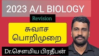 சுவாச பொறிமுறைAL Biology RevisionMechanism of ventilation of the lungsDrSaumia [upl. by Jos894]