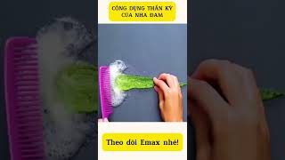 CÔNG DỤNG THẦN KÌ ĐẾN KHÔNG NGỜ CỦA NHA ĐAM [upl. by Negah]