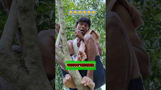 ভয় 👻👻👻Bodmaspolapan funny shortvideo youtubeshorts viraltrending shortscomedy [upl. by Call168]