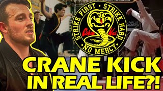 Does the CRANE KICK Actually Work Cobra Kai  Karate Kid Breakdown [upl. by Barton774]