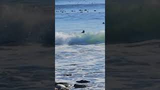 Surfing in Kommetjie South Africa [upl. by Postman]