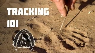 Tracking 101 Black Scout Tutorials [upl. by Dionisio]