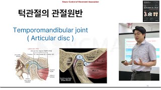 뉴만 기능해부학척추편 기초 턱관절의 관절원반 Temporomandibular joint Articular disc Basic [upl. by Ellezig]