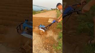 Rotary tillage weeding and furrowing [upl. by Alegnat479]